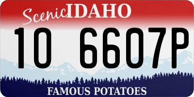 ID license plate 1O6607P