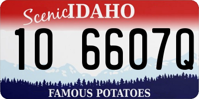 ID license plate 1O6607Q