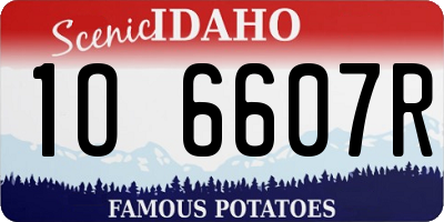 ID license plate 1O6607R