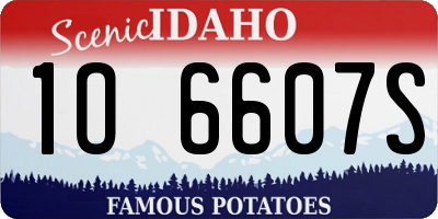 ID license plate 1O6607S