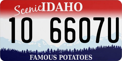 ID license plate 1O6607U