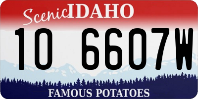 ID license plate 1O6607W