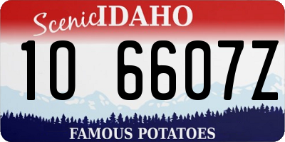 ID license plate 1O6607Z