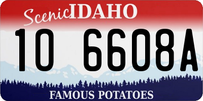 ID license plate 1O6608A