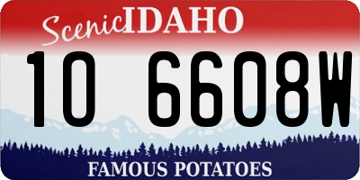 ID license plate 1O6608W