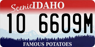 ID license plate 1O6609M