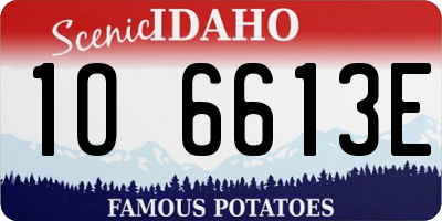 ID license plate 1O6613E