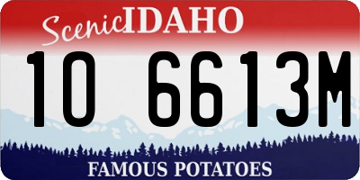 ID license plate 1O6613M
