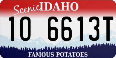 ID license plate 1O6613T