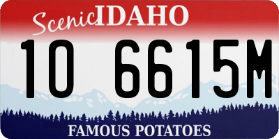 ID license plate 1O6615M