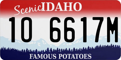 ID license plate 1O6617M