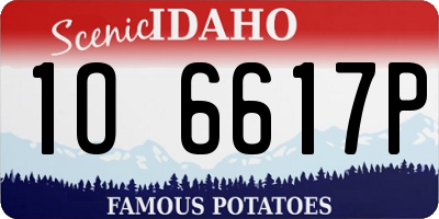 ID license plate 1O6617P