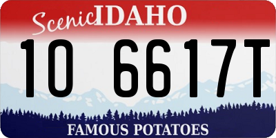 ID license plate 1O6617T