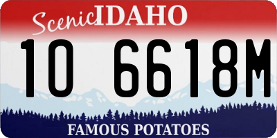 ID license plate 1O6618M