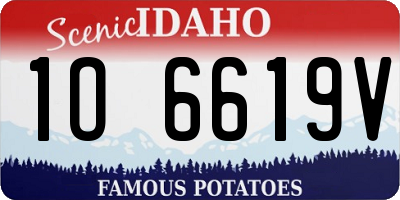 ID license plate 1O6619V