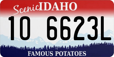 ID license plate 1O6623L
