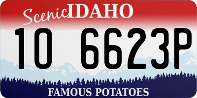 ID license plate 1O6623P