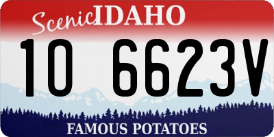 ID license plate 1O6623V