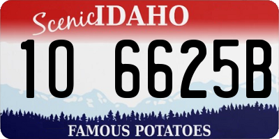 ID license plate 1O6625B