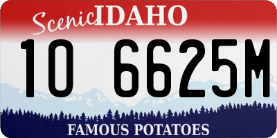 ID license plate 1O6625M