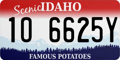 ID license plate 1O6625Y