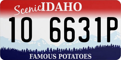 ID license plate 1O6631P