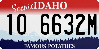 ID license plate 1O6632M