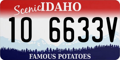 ID license plate 1O6633V