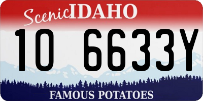 ID license plate 1O6633Y