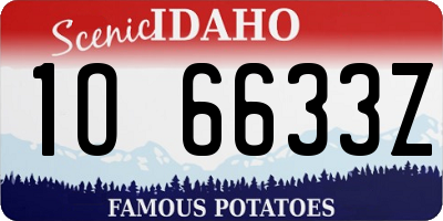 ID license plate 1O6633Z