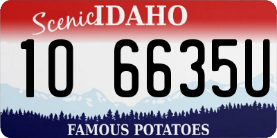 ID license plate 1O6635U