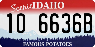ID license plate 1O6636B