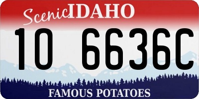 ID license plate 1O6636C