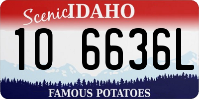 ID license plate 1O6636L