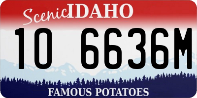 ID license plate 1O6636M
