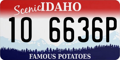ID license plate 1O6636P