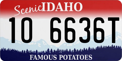 ID license plate 1O6636T