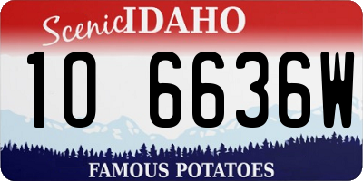 ID license plate 1O6636W