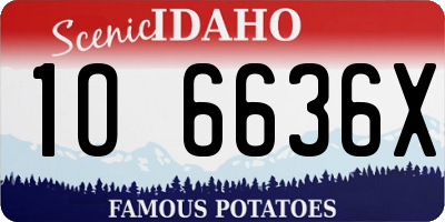 ID license plate 1O6636X