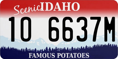 ID license plate 1O6637M