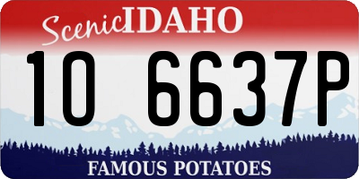ID license plate 1O6637P