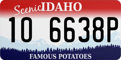 ID license plate 1O6638P