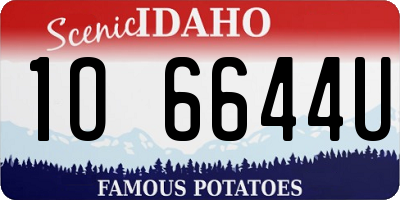 ID license plate 1O6644U