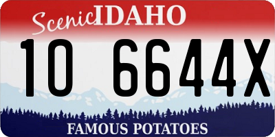ID license plate 1O6644X