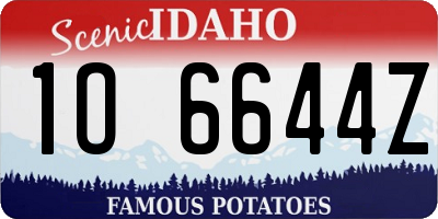 ID license plate 1O6644Z