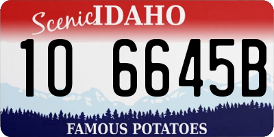 ID license plate 1O6645B