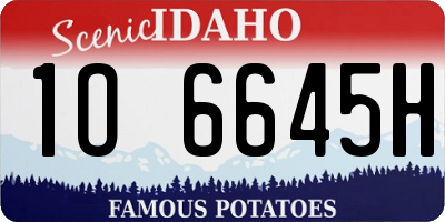 ID license plate 1O6645H