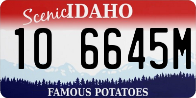 ID license plate 1O6645M