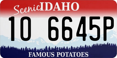 ID license plate 1O6645P