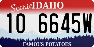 ID license plate 1O6645W